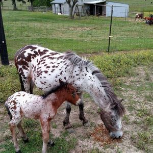 Meet your Posher, Kay